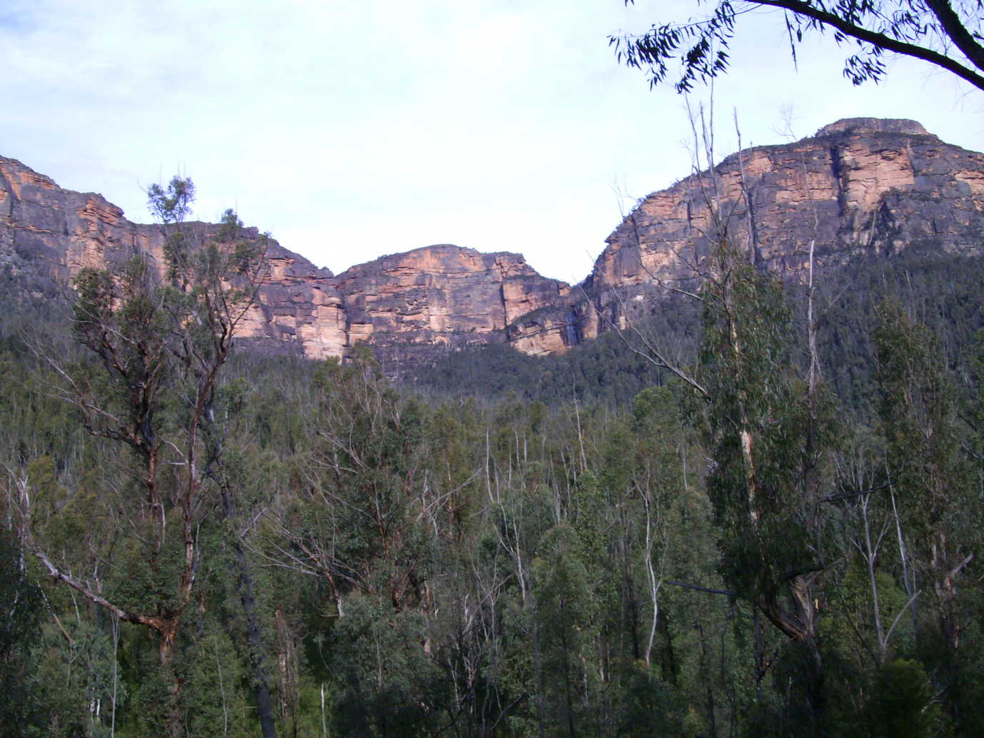 The view from the Grose Valley looking back at the mountains