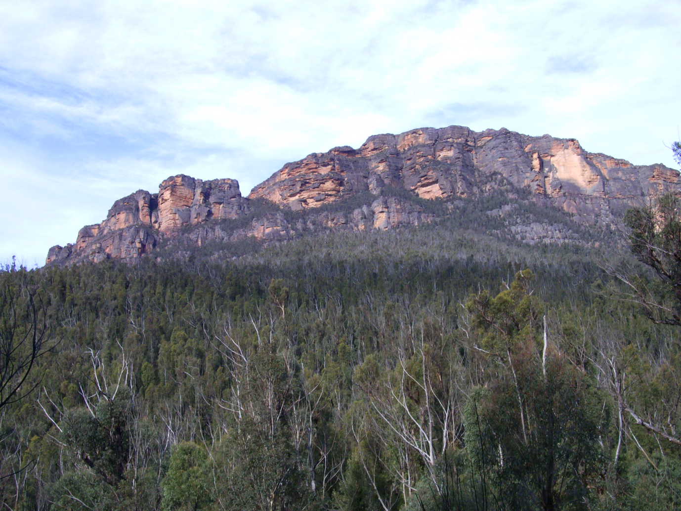 Another view from the Grose Valley looking back at the mountains 