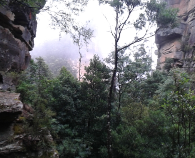 View out over the lower part of Jinki Gully