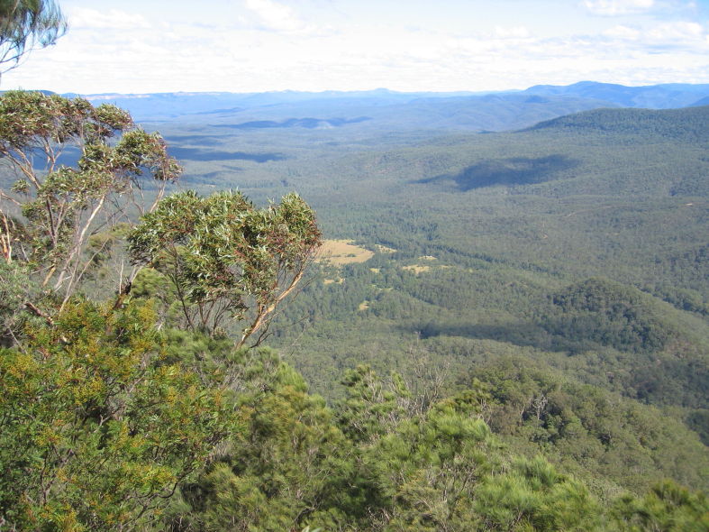 Looking from Leura to the clearing where we are going