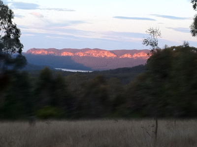 View from the First Night